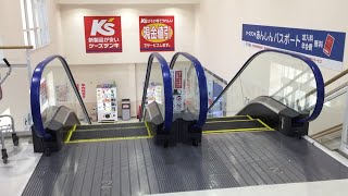 【三重県 津市】ケーズデンキ津店 エスカレーターに乗ってみた！（日立製／2F→1F）