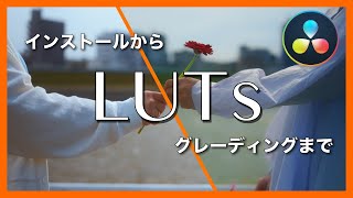 【完全ガイド】LUTの設定からグレーディングまで解説！