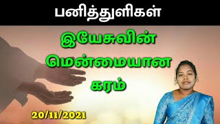 20/11/2021 || Panithuligal || பனித்துளிகள் || இயேசுவின் மென்மையான கரம் || Promise Words || MESIYA TV