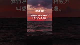 羅馬書8章28節 #希望 #力量 #安慰 #禱告 #心靈 #困境 #孤單 #聖經金句