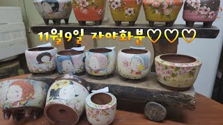 모두품절11월9일#수제화분 #공방화분 #다육화분 #화분. 오늘찜은 금욜 배송 됩니다