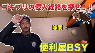 【閲覧注意！！】ゴキブリの〇〇を駆除！！