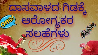 |Healthy tips for hibiscusplant||ದಾಸವಾಳದ ಗಿಡಕ್ಕೆ ಆರೋಗ್ಯಕರ ಸಲಹೆಗಳು |