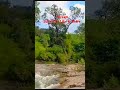 forest stream nature water purewater காடு ஆறு நதி river trending rasi hosur