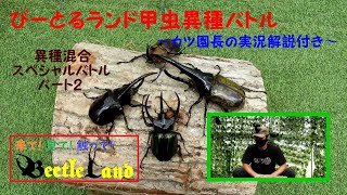 甲虫異種混合スペシャルバトル その２～カツ園長の実況解説付き～