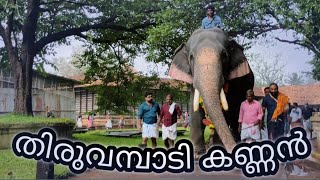 തിരുവമ്പാടി കണ്ണൻ  / Thiruvambadi kannan | Vadakkumnathan temple aanayoot