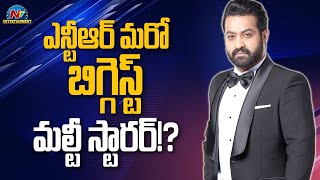 ఎన్టీఆర్ మరో బిగ్గెస్ట్ మల్టీ స్టారర్! | NTR | Prashanth Neel  | NTV ENT