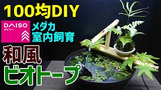 Making An The Depths Of The Forest Aquaterrarium水槽の立ち上げ方 一気に見せる アクアテラリウム