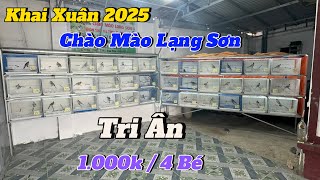 12-2. KHAI XUÂN 2025. CHÀO MÀO LẠNG SƠN. TRI ÂN 1.000.k / 4 Bé. HÀNG BỘ KHỦNG LONG. MÀO LÂN TÊ VÍP