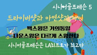 LA최프로의 시니어골프레슨 드라이버샷과 아연샷의 다운스윙시 차이점