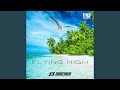 Flying high (Radio Edit)