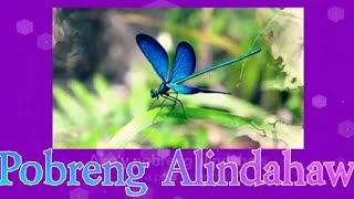 POBRENG ALINDAHAW Visayan Folk Song with Lyrics \u0026 English Subtitle Covered by Lakay Islao fr Lupao