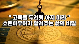 지루하고 쳇바퀴 같은 인생, 괴롭고 고통스러운 삶에 쇼펜하우어가 답하다