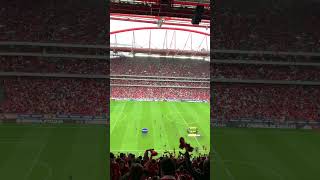 Benfica Atmosphere Goal Estadio da Luz