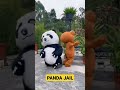 Panda Jail Lucu Banget #shorts #badutlucu #panda