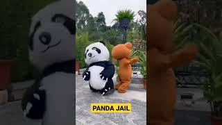 Panda Jail Lucu Banget #shorts #badutlucu #panda
