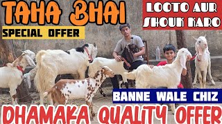 Dhamaka Quality Offer Sab Nagine Banne Wale Chiz Lo Aur Shouk Karo || Taha Bhai Bhiwandi Mumbai ||