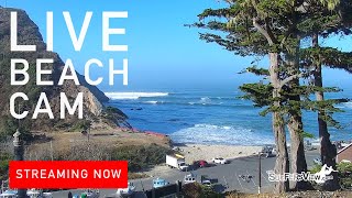 Live Surf Cam: Point Arena, California