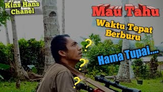 jam yang tepat buat berburu tupai