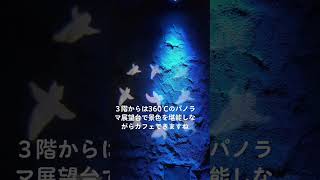 紋別楽しすぎ#紋別市 #オホーツクタワー#流氷科学センター#道の駅オホーツク紋別#北海道旅行#北海道 #hokkaido