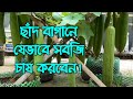 ছাঁদ বাগানে যেভাবে সবজি চাষ করবেন | ভিডিওটি আপনার জন্যই |  কৃষি দিবানিশি |