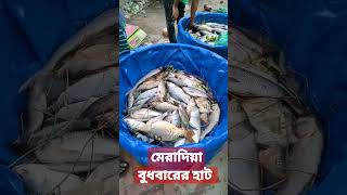 মেরাদিয়া বুধবারের হাট, অনেক মাছ তাজা মাছ। #sorts