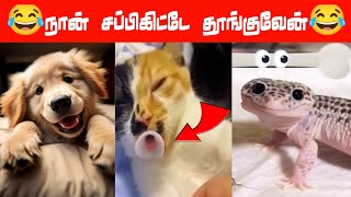 😂🐕🐈 சும்மா தொட்டு பாத்த பாஸ்...😂🐕🐈#viral #trending #comedy #funnyanimalvideos