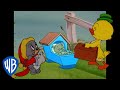 Tom und Jerry auf Deutsch 🇩🇪 | Die süßesten Charaktere von Tom und Jerry | @WBKidsDeutschland​