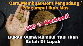 RACIKAN BOM PENGUMPUL IKAN MAS BIAR BETAH DI LAPAK KITA