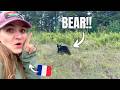 My First Bear Sighting in Minnesota!🐻A French Girl in Northern Minnesota | Wolf & Bear Center in Ely