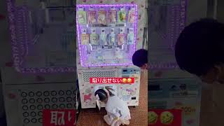 羽田空港で発見！サンリオ当たりくじ販売機やってみたら#shorts