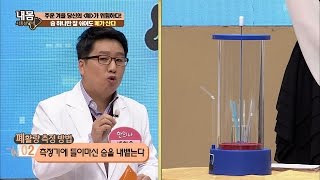 숨만 잘 쉬어도 폐가 산다! [내 몸 사용설명서] 135회 20161230