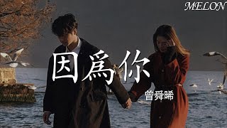 因為你（影視劇《終極筆記》片尾曲）—曾舜晞『yin wei ni （ying shi ju 《zhong ji bi ji 》pian wei qu ）—ceng shun xi 』