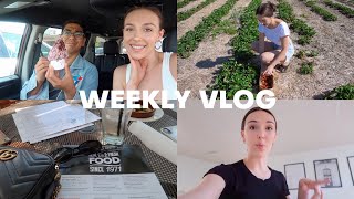 VLOG: strawberry picking, scheduling uni courses, going out for dinner