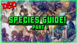 Every D\u0026D 2024 Player Species In-Depth Review! (From A to G)