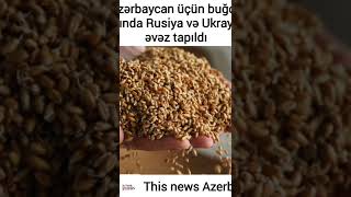 Azərbaycan üçün buğda idxalında Rusiya və Ukraynaya əvəz tapıldı