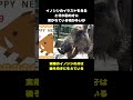 誤解されている動物のイメージ5選