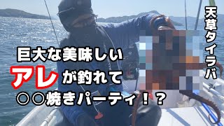 【ミニボート釣行】タイラバをしていると巨大なアレが…IN天草　＃アスボヤ33