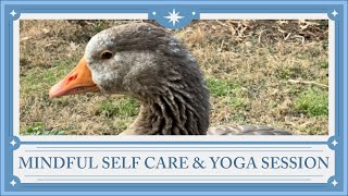 Yoga \u0026 Self Care Lesson with Athena the Goose for Ultimate Stress Relief (Relax and Unwind)