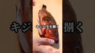 キジハタを三枚おろしで捌く #捌き方 #魚料理