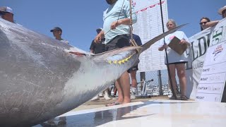 Casco Bay Bluefin Bonanza benefits more than the fishery