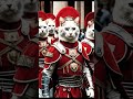 avengers catcatfunnyfightcompilation cat cartoon animals superhero funny cute meow