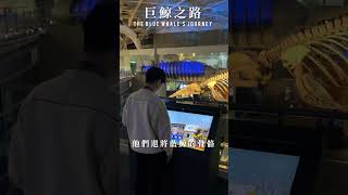 台灣屏東海生館｜國立海洋生物博物館｜🐳臺灣首次20公尺藍鯨骨骼標本展✨最震撼的巨鯨之路｜屏東景點推薦｜梅森Maysun