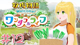 【実況】牧場物語 welcome! ワンダフルライフ【#12】