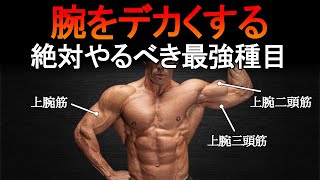 【腕トレ】腕を太くしたいなら今すぐこれをやれ！最強種目と筋トレ法を科学的に徹底解説！