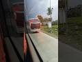 Alisa naik Bus Patas #bus #videoshort