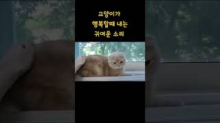 고양이가 행복할때 내는 귀여운 소리 들려드림 #shorts