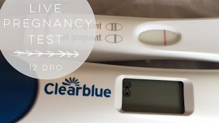 LIVE PREGNANCY TEST | 12dpo