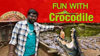 Interesting Facts of Crocodile | முதலைகள் பற்றிய சுவாரஸ்ய தகவல்கள் | Onriya Uyirinam |Big Bang Bogan