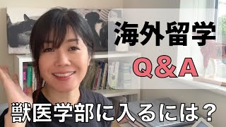 【海外留学Q＆A】日本の高校卒からどうやって海外の獣医学部に入学した？英語力や成績は？